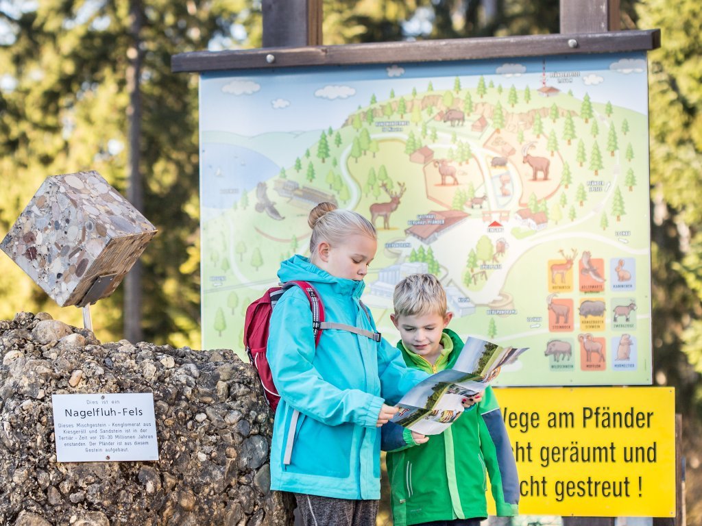 Pfänder Alpenwildpark